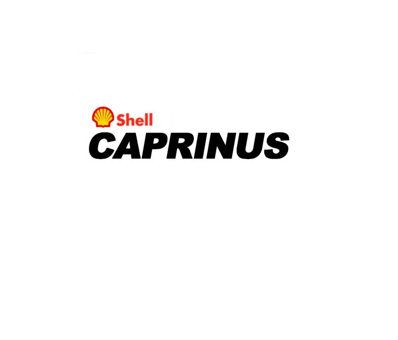 shell-caprinus-1 (1)